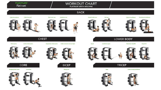 Platinum All-In-One Trainer