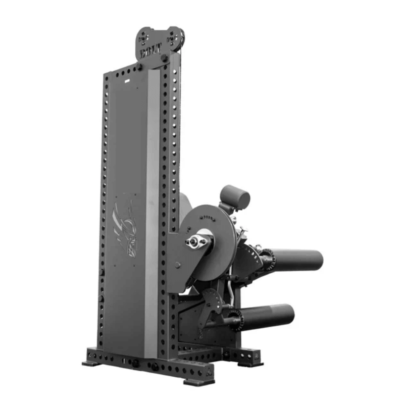 Adjustable Leg Extension & Leg Curl Combo