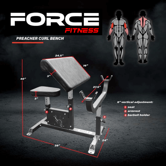 Preacher Curl Bench