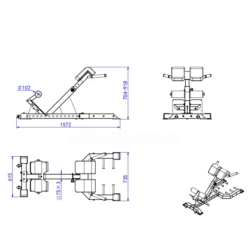 Pro 45 Degree Hyper Extension