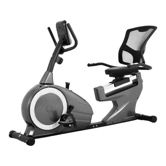 RB20 Recumbent Bike