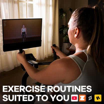 J1M Plus Recumbent Bike