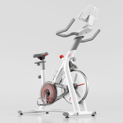 S3 Indoor Exercise Spin Bike