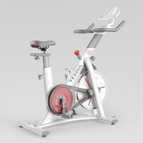 S3 Indoor Exercise Spin Bike