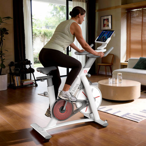 S3 Indoor Exercise Spin Bike