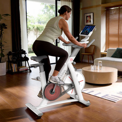 S3 Indoor Exercise Spin Bike