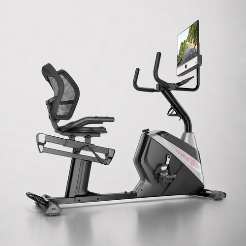 J1M Plus Recumbent Bike