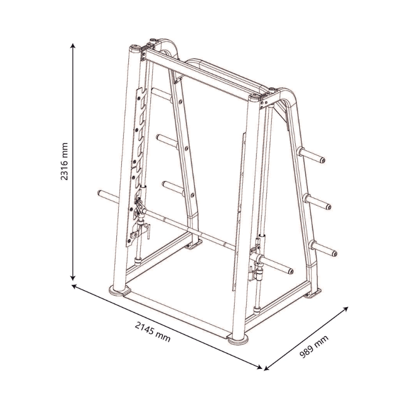 Pro Series 5 Degree Smith Machine