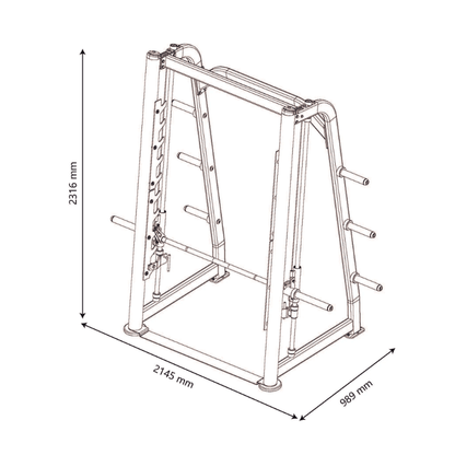Pro Series 5 Degree Smith Machine