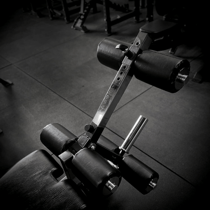 Adjustable Bench + Leg Extension & Leg Curl Combo