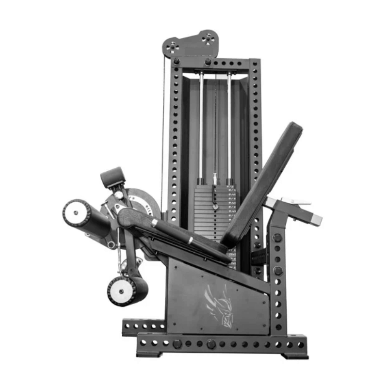 Adjustable Leg Extension & Leg Curl Combo