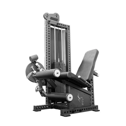 Adjustable Leg Extension & Leg Curl Combo