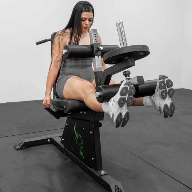 Pro Leg Extension Leg Curl Combo