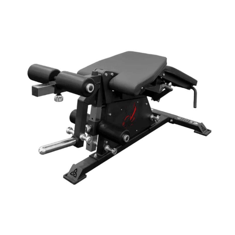 Pro Leg Extension Leg Curl Combo