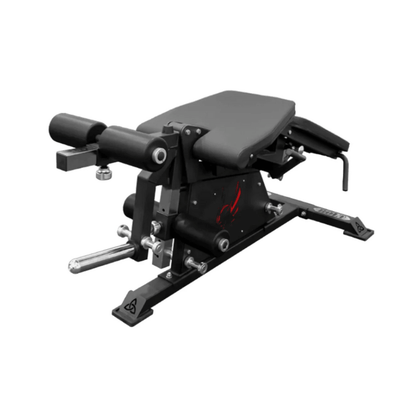 Pro Leg Extension Leg Curl Combo