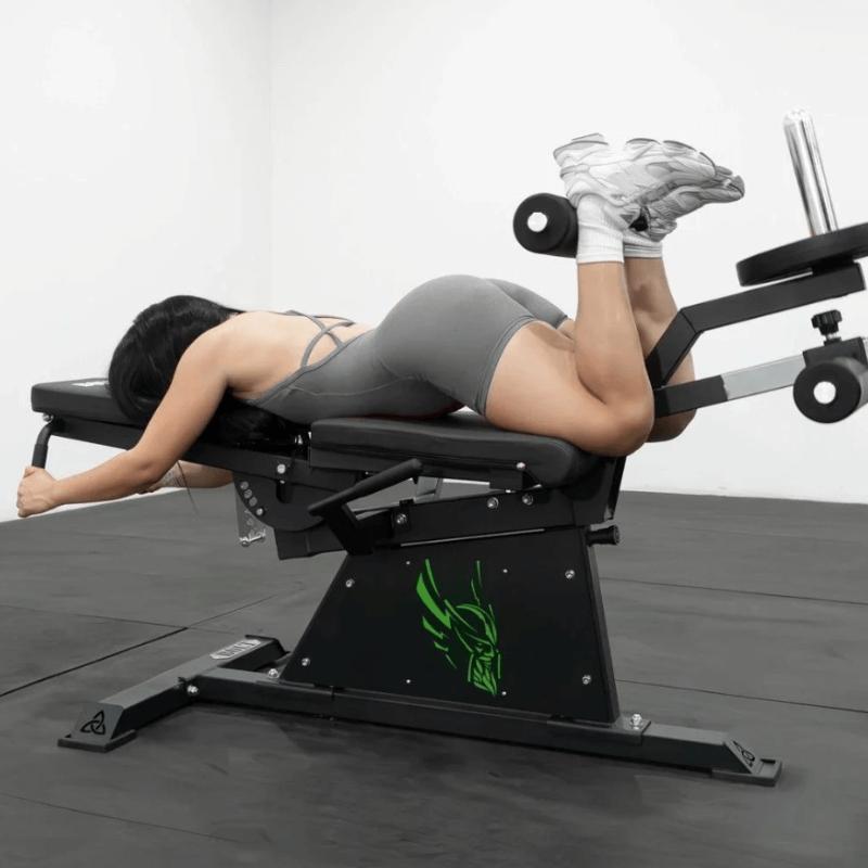 Pro Leg Extension Leg Curl Combo