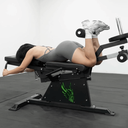 Pro Leg Extension Leg Curl Combo