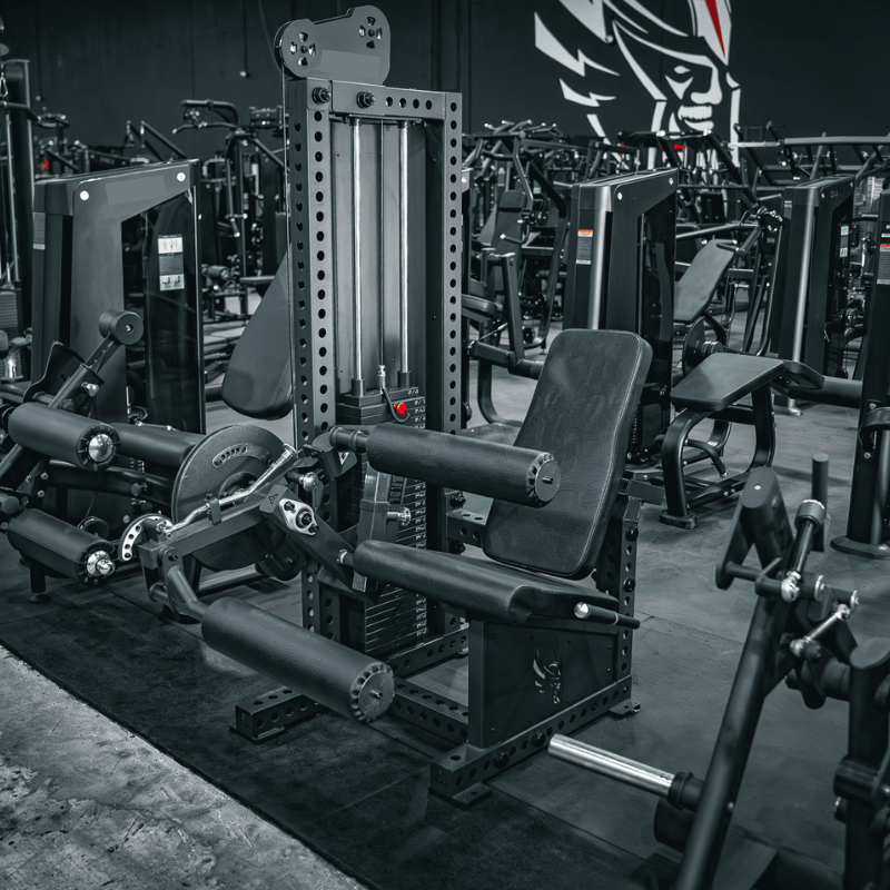 Adjustable Leg Extension & Leg Curl Combo