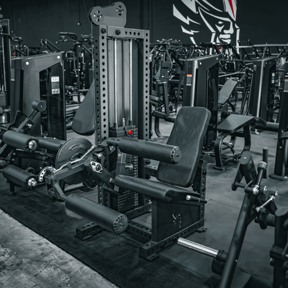 Adjustable Leg Extension & Leg Curl Combo