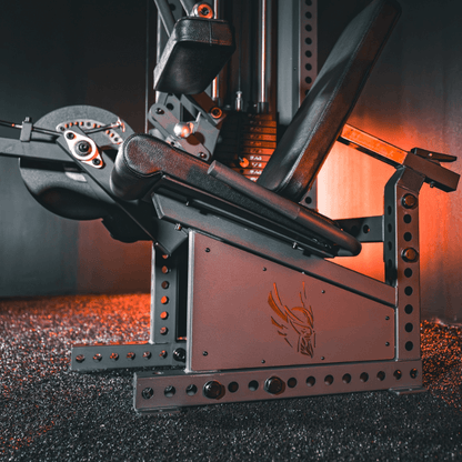 Adjustable Leg Extension & Leg Curl Combo