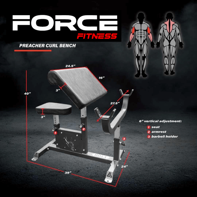 Preacher Curl Bench