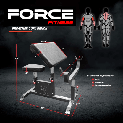Preacher Curl Bench