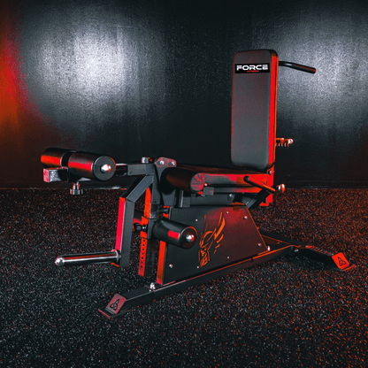 Pro Leg Extension Leg Curl Combo