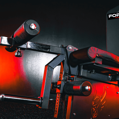 Pro Leg Extension Leg Curl Combo