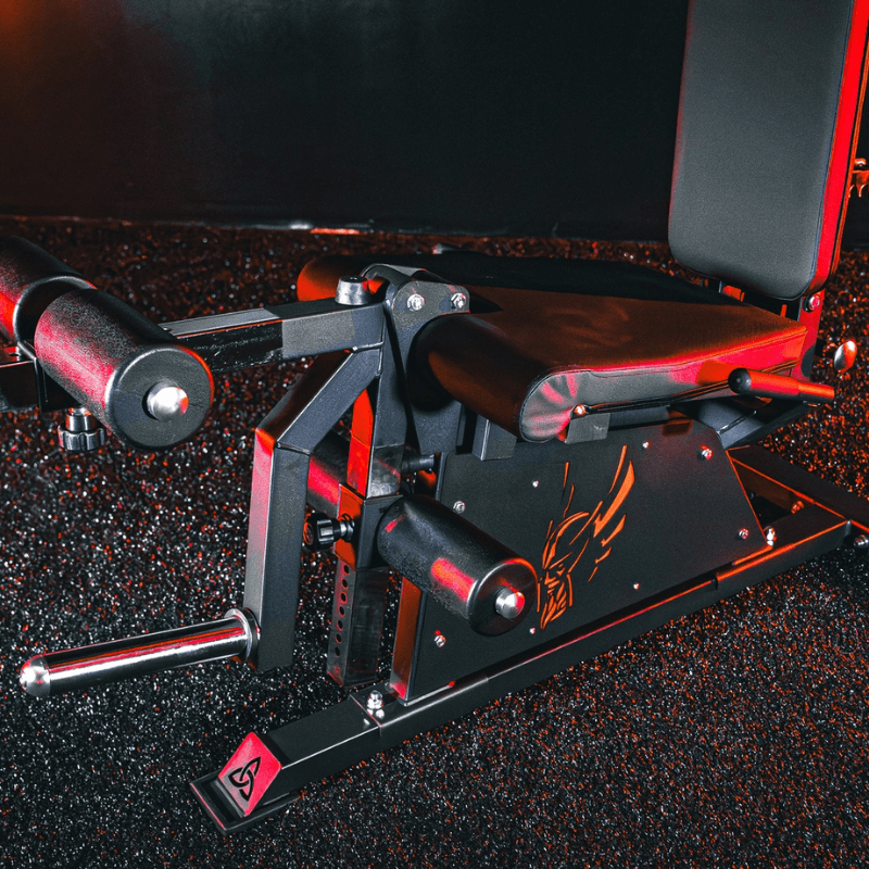 Pro Leg Extension Leg Curl Combo