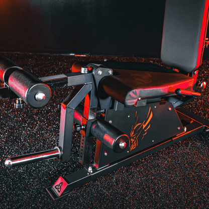 Pro Leg Extension Leg Curl Combo