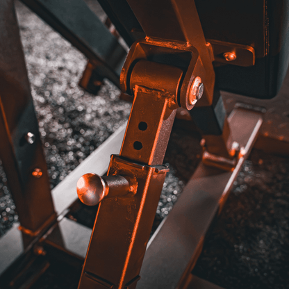 Pro Smith Bent Over Row