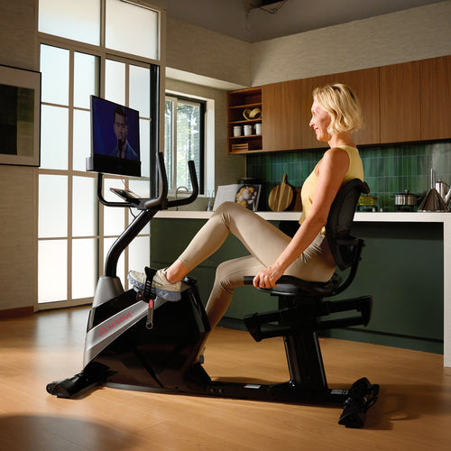 J1M Plus Recumbent Bike