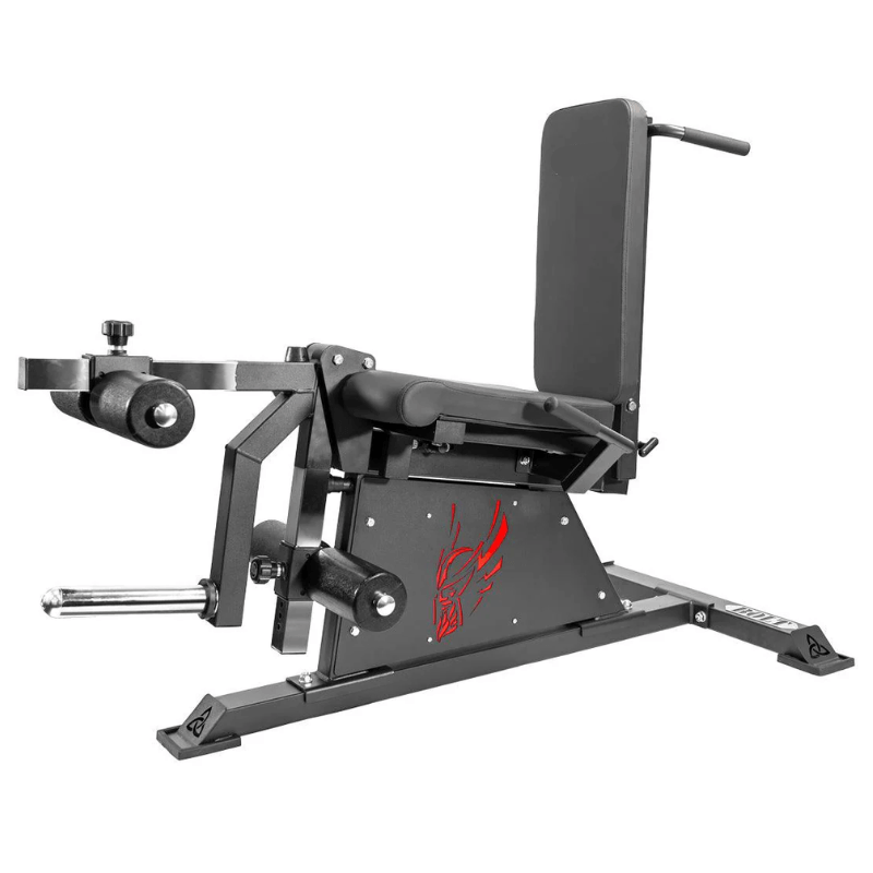 Pro Leg Extension Leg Curl Combo