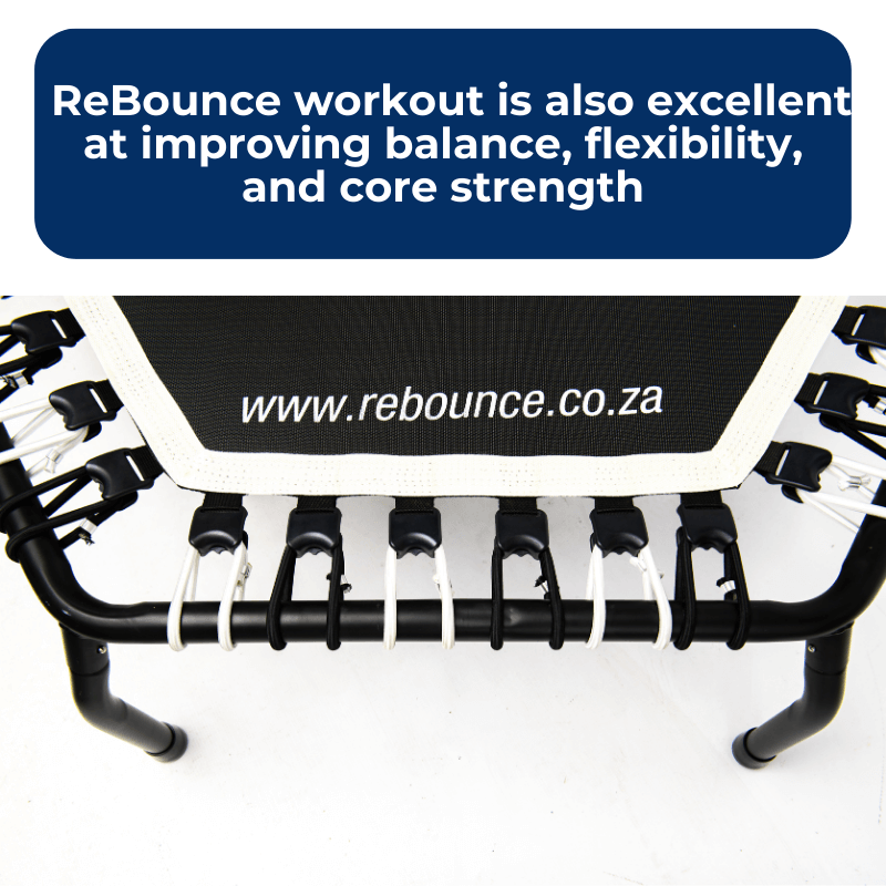 450 Studio Pro Hex Rebounder + Adjustable Handle