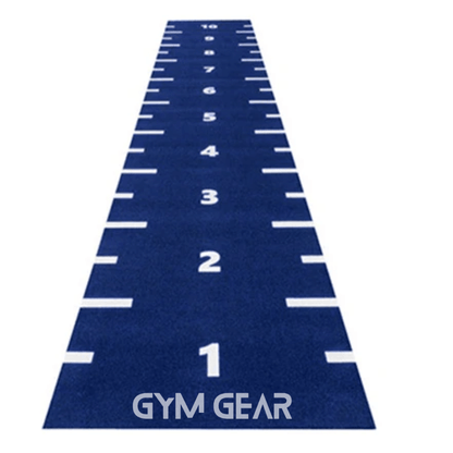 Premium Astro Sprint Sled Track - Blue