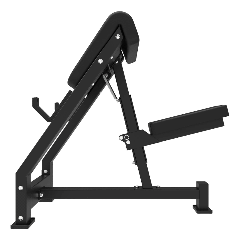 Platinum Preacher Curl