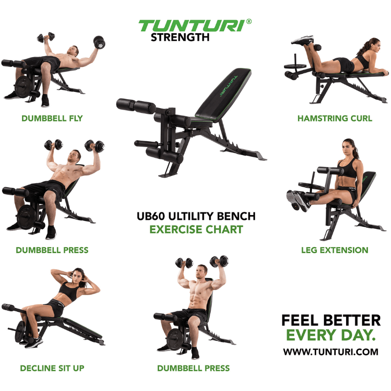 UB60 Leg Workout Bench