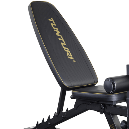 Centuri Edition Adjustable Utility & Leg Workout Bench