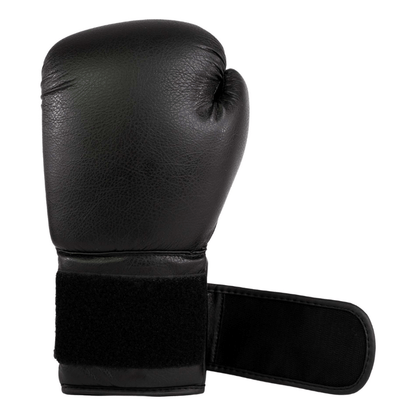 Allround Boxing Gloves - PU 10 oz