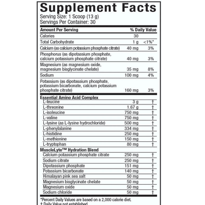 Platinum 100% EAA+ (387g)