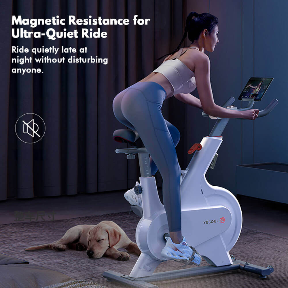M1P Spin Bike