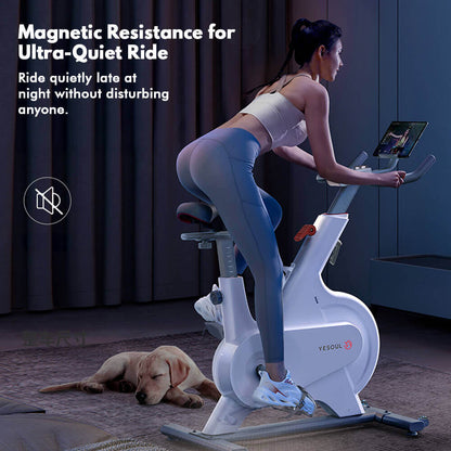 M1P Spin Bike