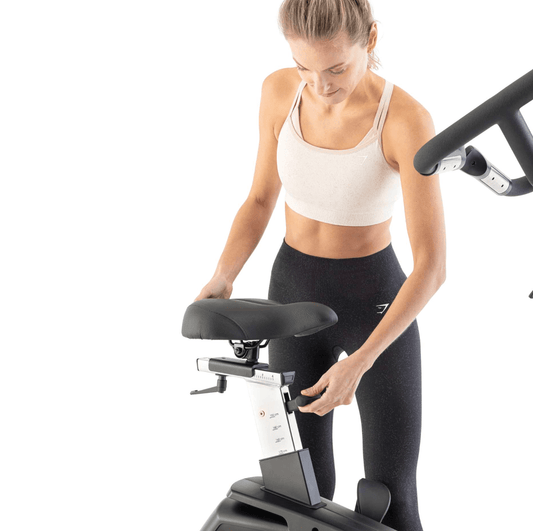 Platinum E20 Upright Bike