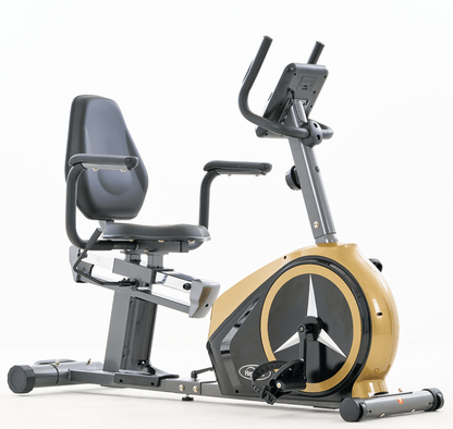 Recumbent Bike