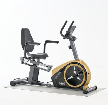 Recumbent Bike