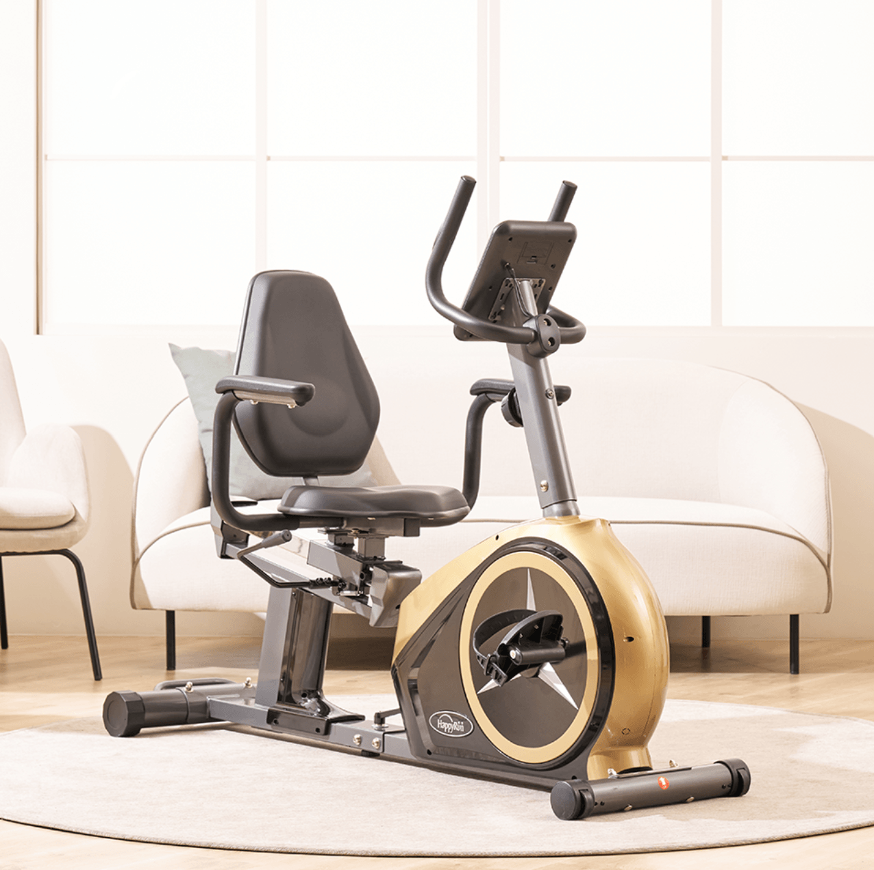 Recumbent Bike