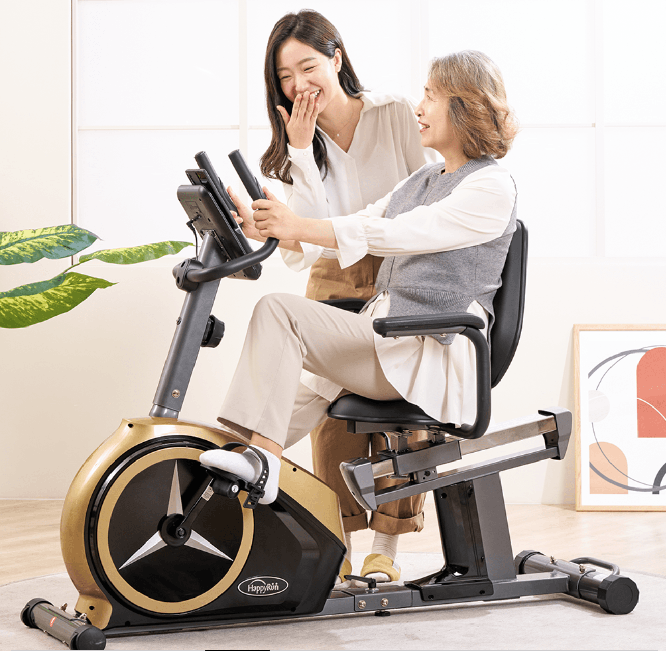 Recumbent Bike