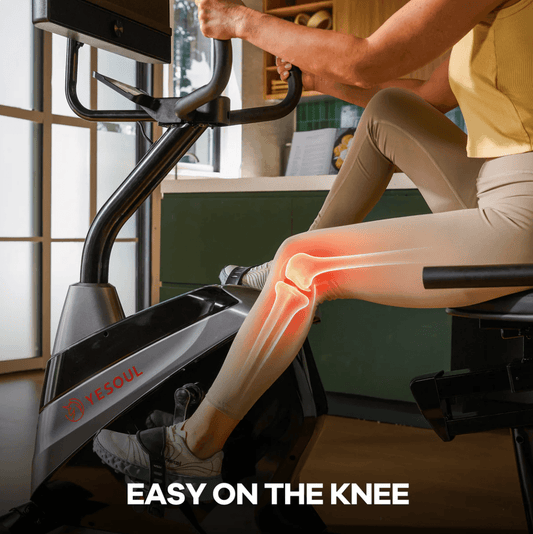 J1M Plus Recumbent Bike
