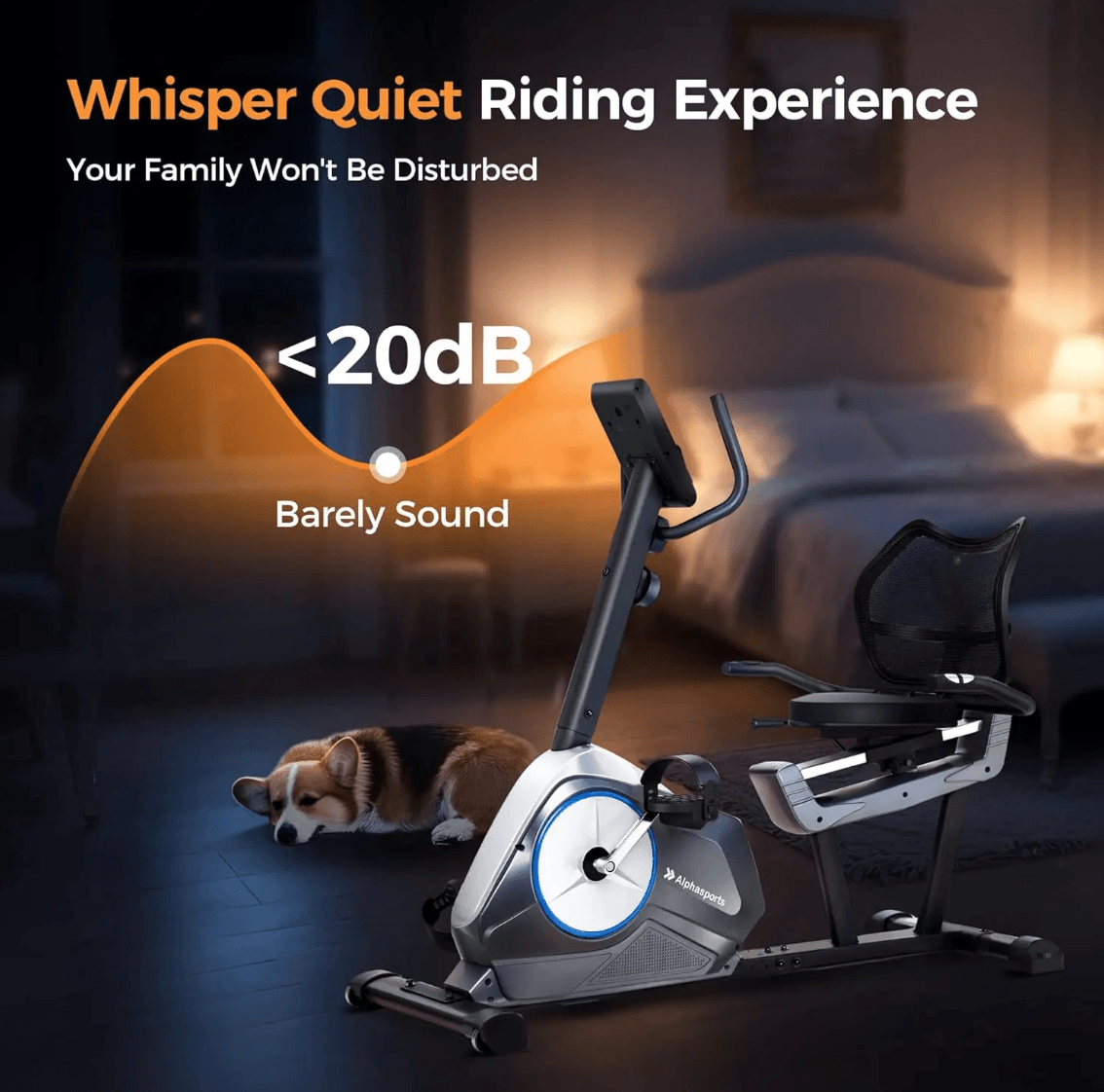 Recumbent Exercise Bike