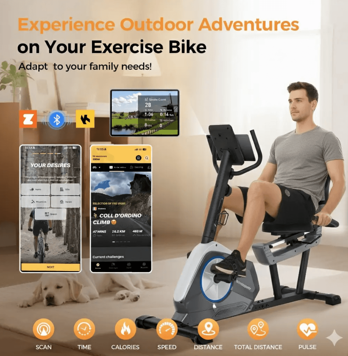 Recumbent Exercise Bike